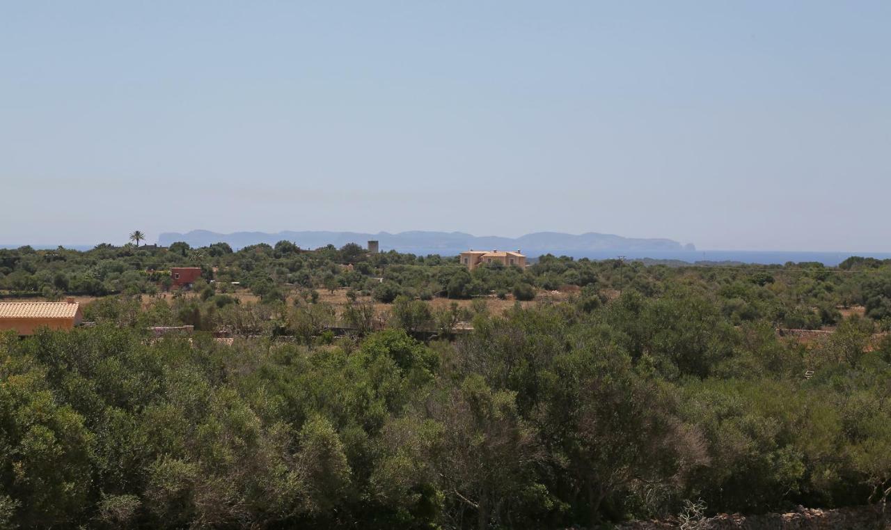 Finca Tiana Ses Salines  Exterior foto